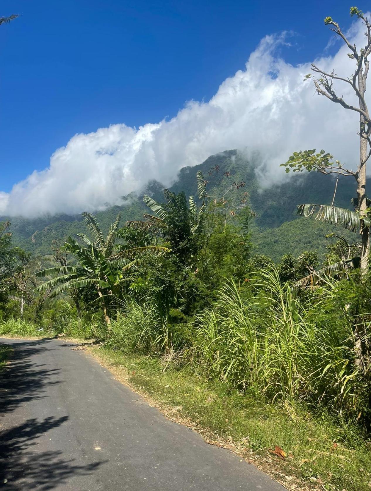 Tropical Habitat Bali Villa Amed Dış mekan fotoğraf