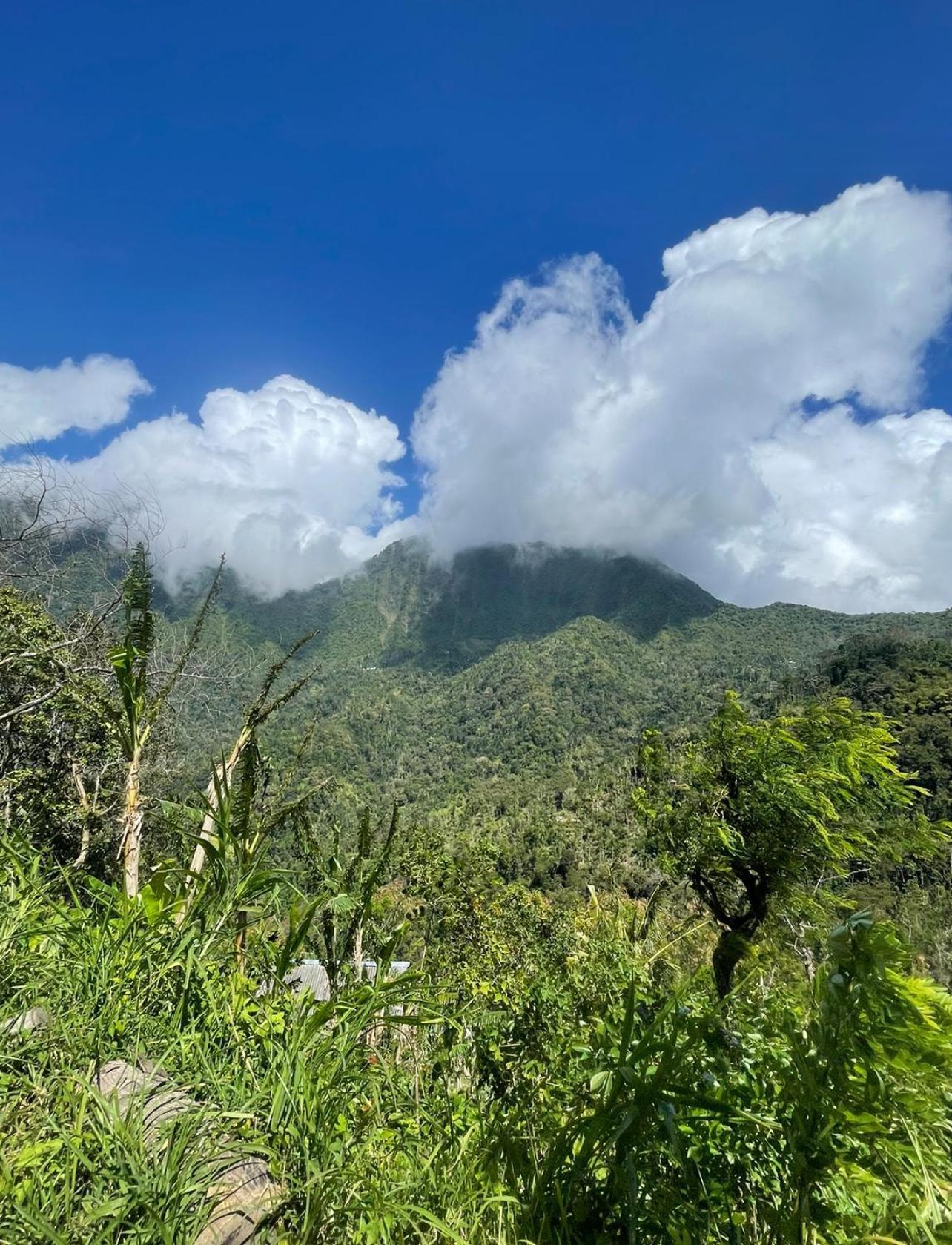 Tropical Habitat Bali Villa Amed Dış mekan fotoğraf
