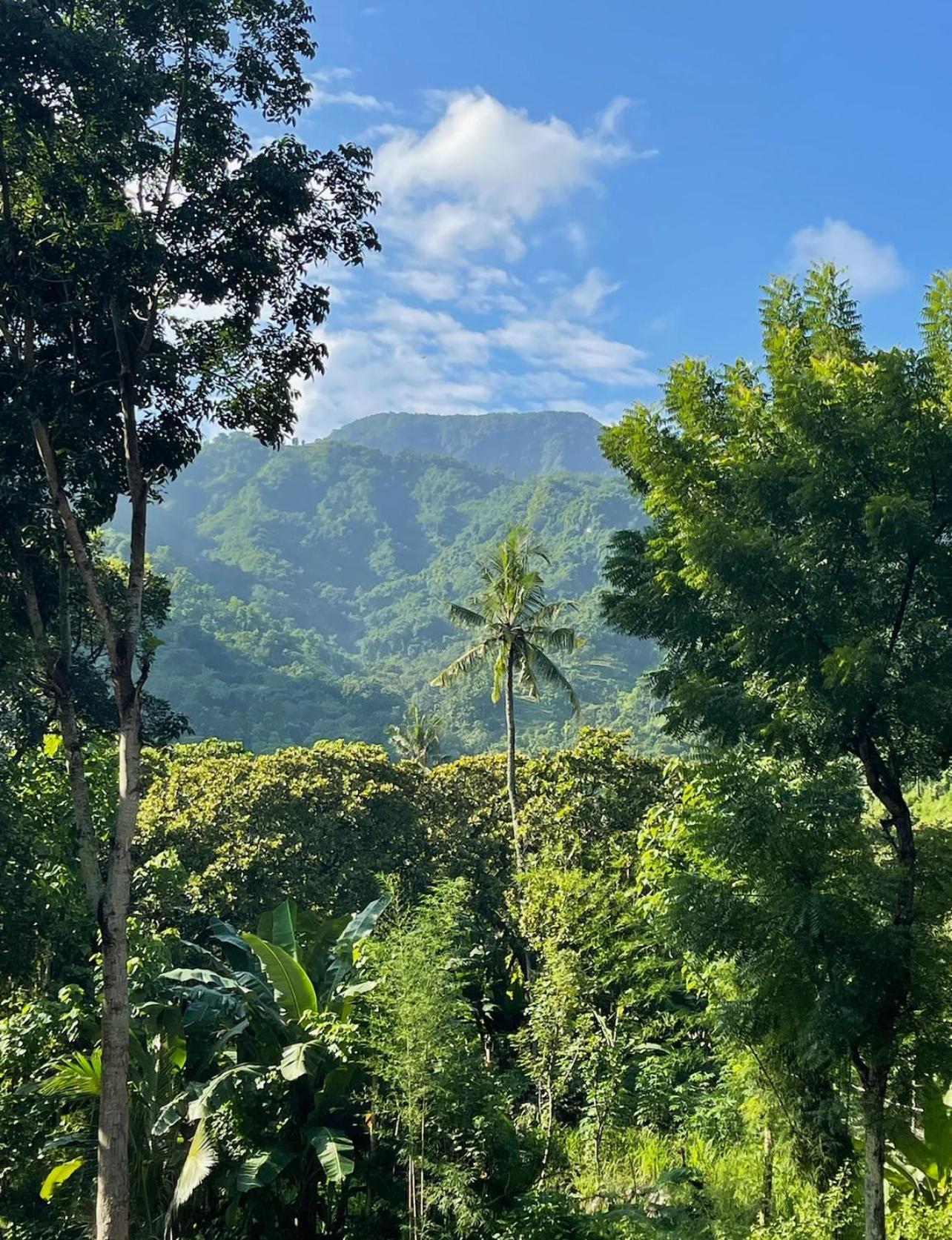 Tropical Habitat Bali Villa Amed Dış mekan fotoğraf