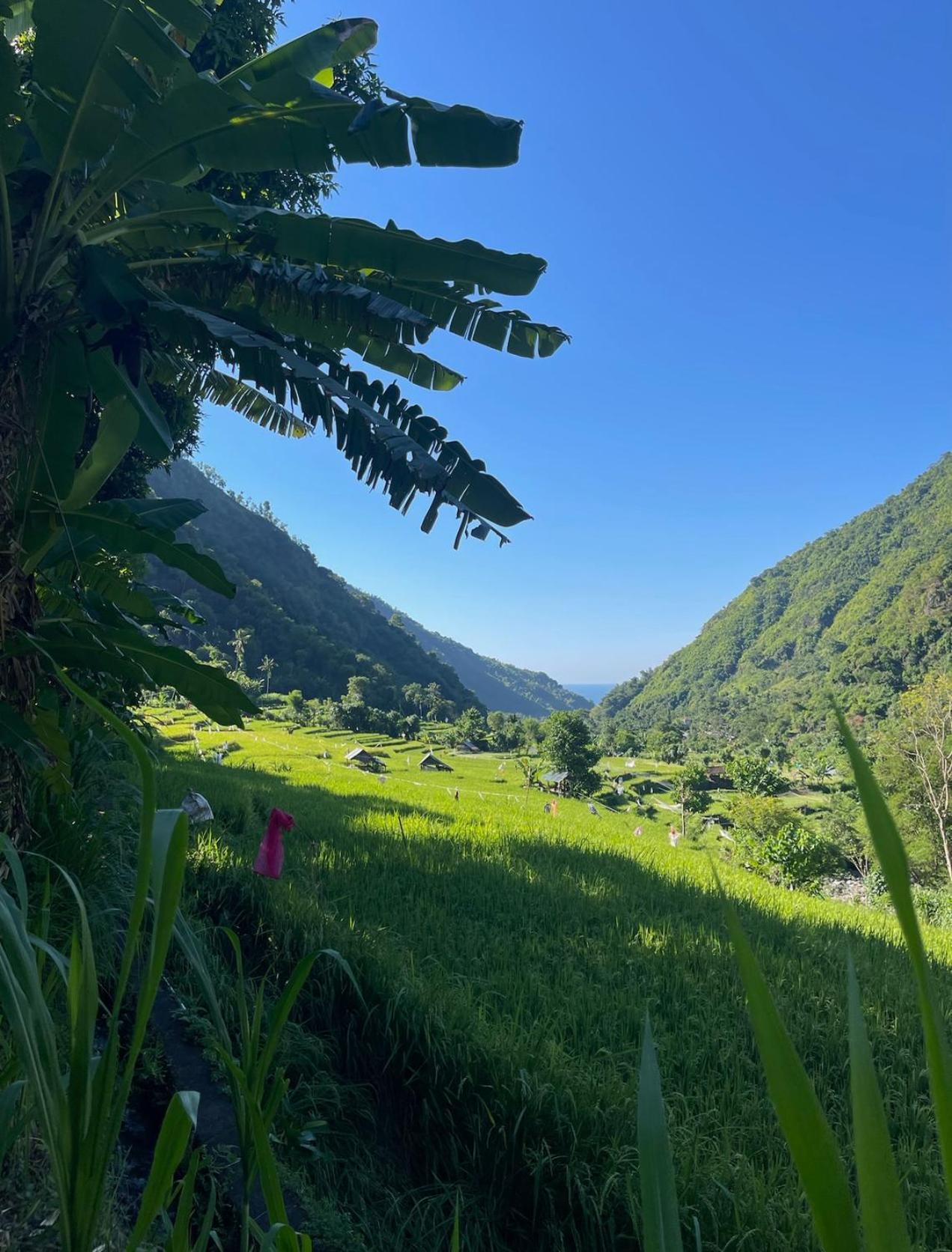 Tropical Habitat Bali Villa Amed Dış mekan fotoğraf
