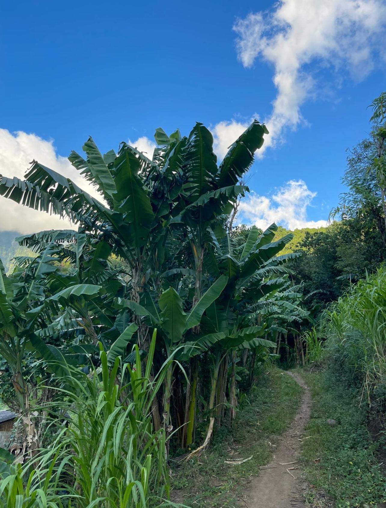 Tropical Habitat Bali Villa Amed Dış mekan fotoğraf
