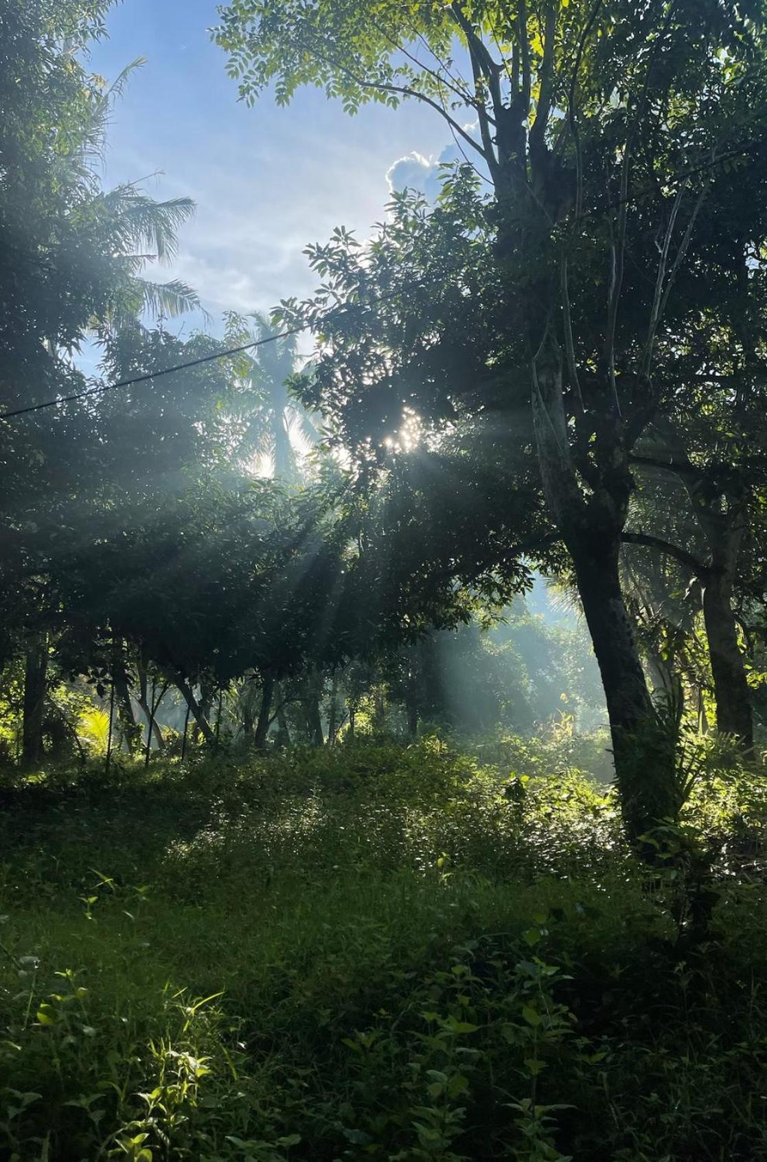 Tropical Habitat Bali Villa Amed Dış mekan fotoğraf