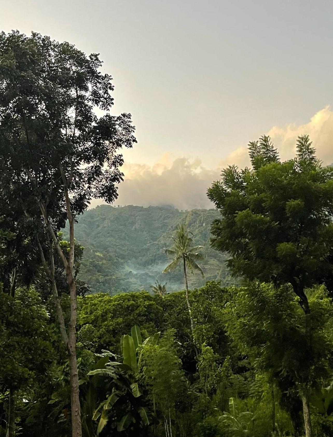 Tropical Habitat Bali Villa Amed Dış mekan fotoğraf