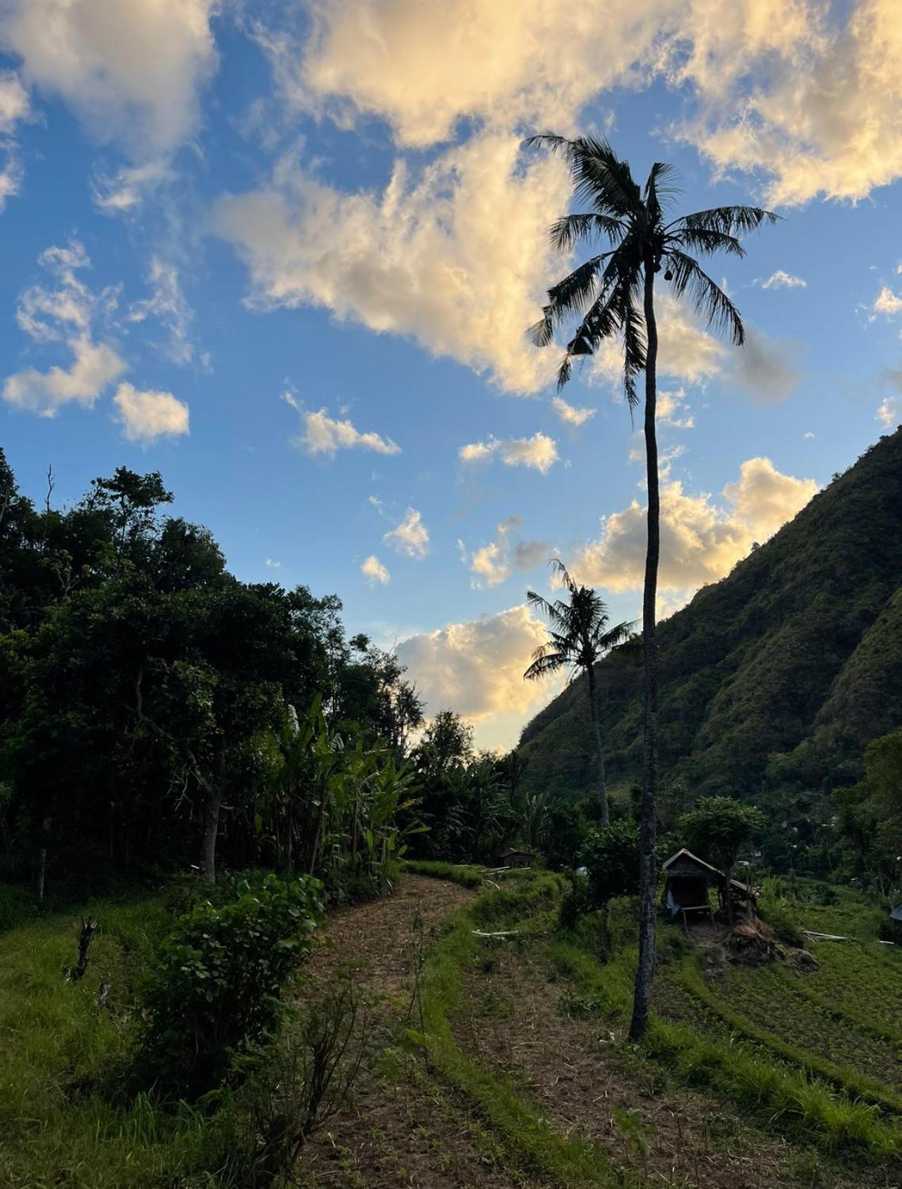 Tropical Habitat Bali Villa Amed Dış mekan fotoğraf