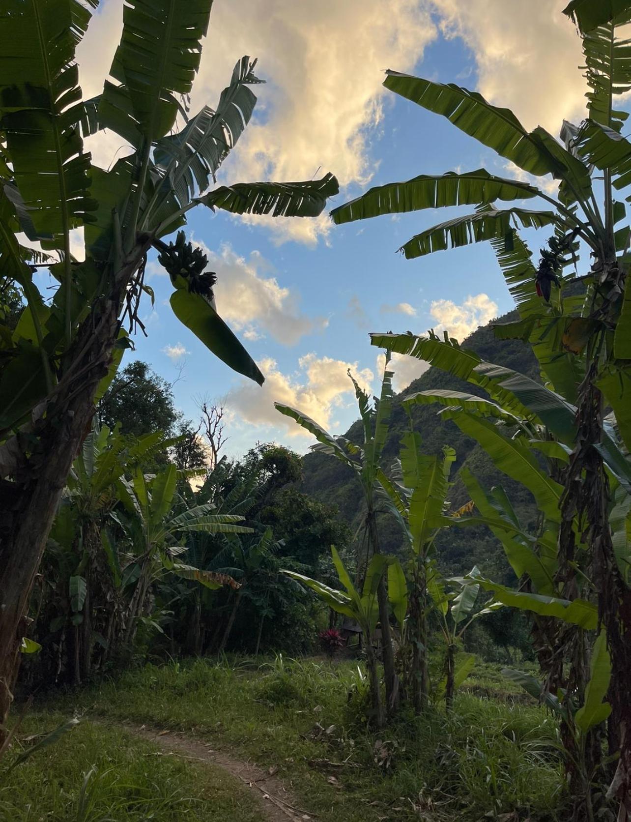 Tropical Habitat Bali Villa Amed Dış mekan fotoğraf