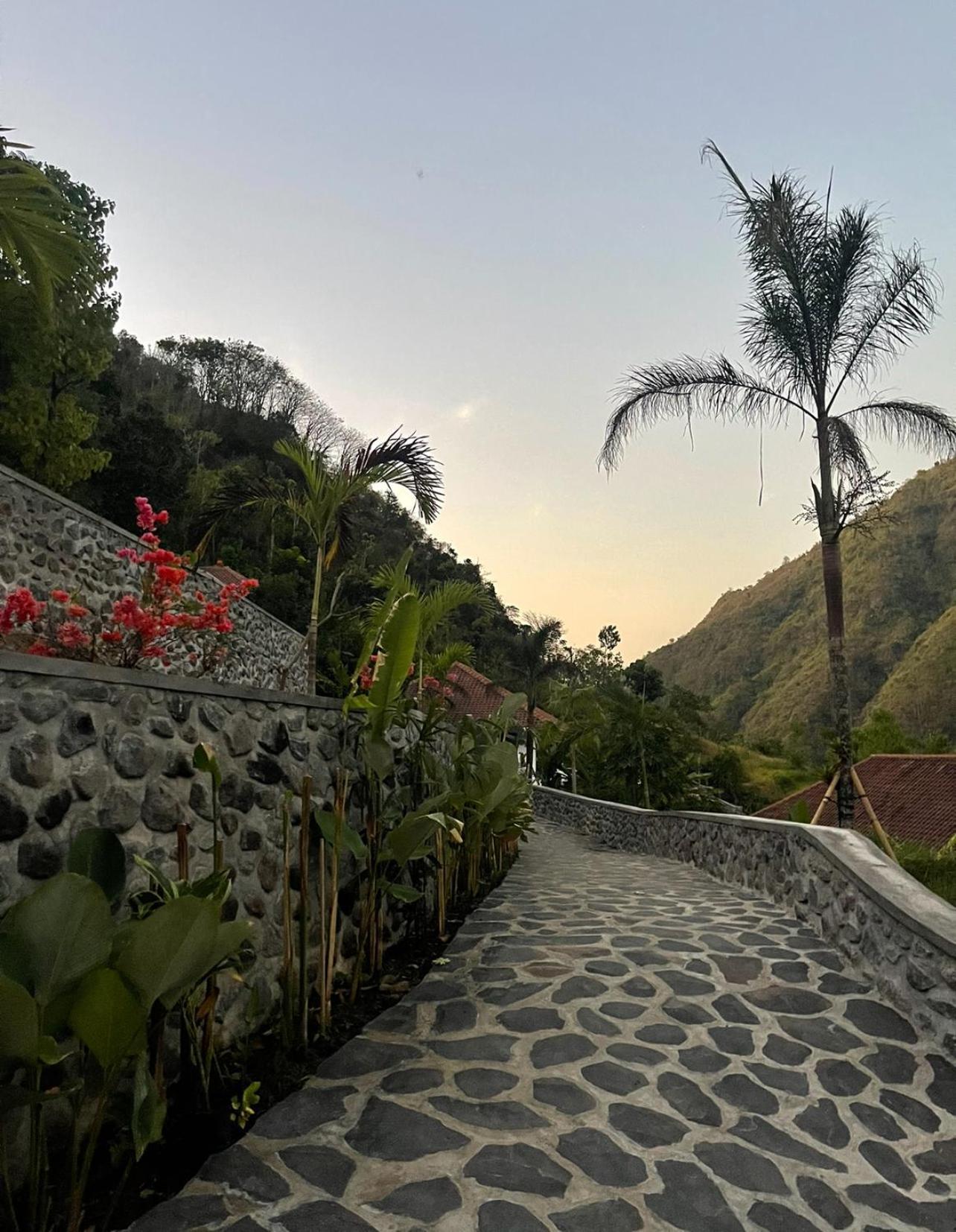 Tropical Habitat Bali Villa Amed Dış mekan fotoğraf