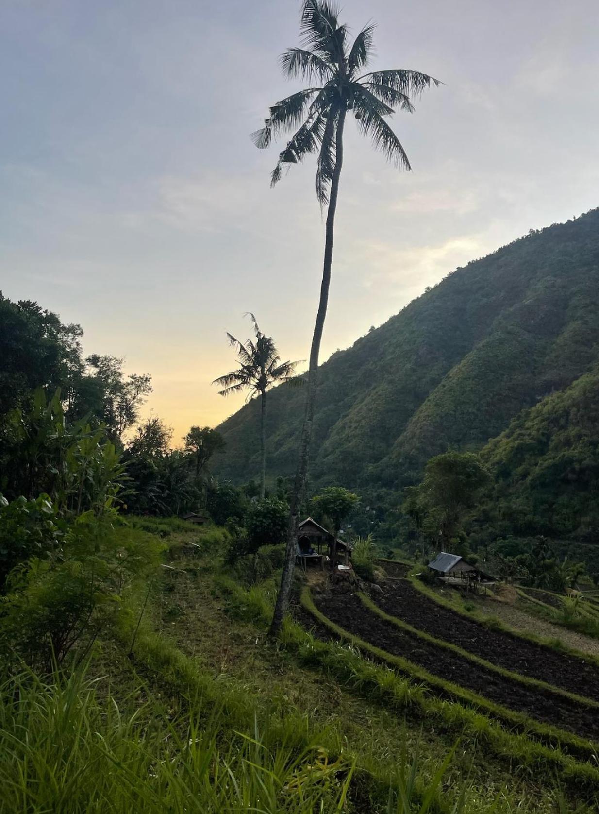 Tropical Habitat Bali Villa Amed Dış mekan fotoğraf